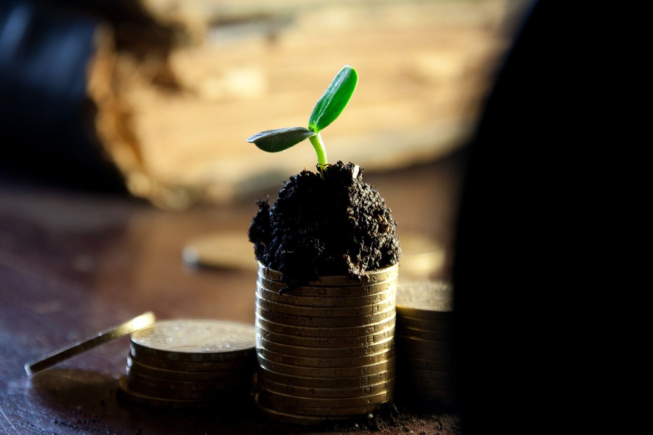 economic growth depicted by sapling growing on a pile of coins