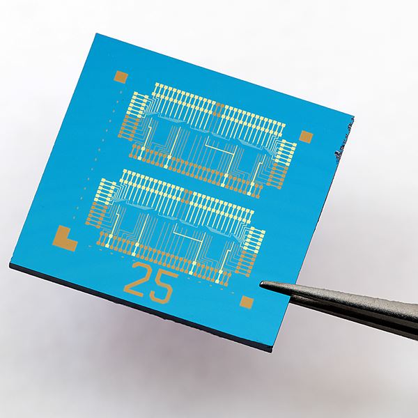 Chip based on floating-gate field-effect transistors (FGFETs) with an active molybdenum disulphide channel (Credit: Andras Kis)