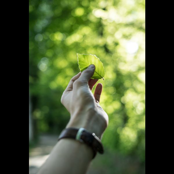 Where graphene tech meets sustainability 