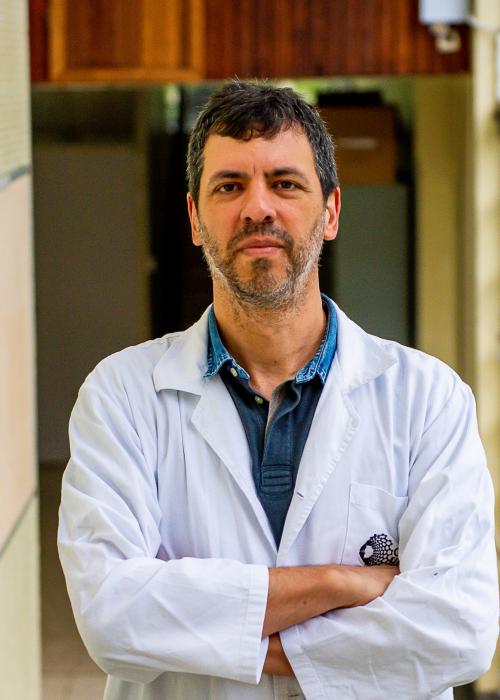 Aldo Zarbin