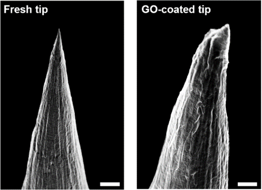 Brain-inspired devices with graphene oxide