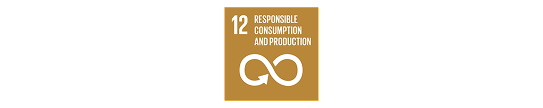 SDG #12 Responsible Consumption and Production