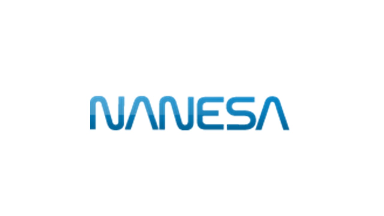 Nanesa logo