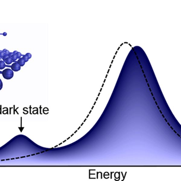 A dark exciton peak is visible in the optical spectrum when a gas molecule is detected.