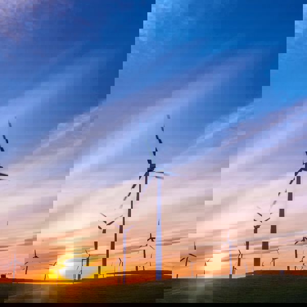 Wind turbines in rural landscape at sunset.