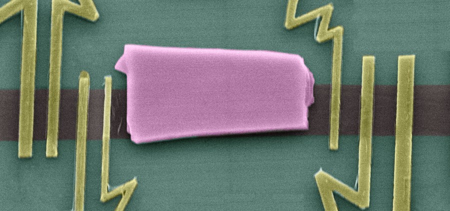 Scanning Electron Microscope micrograph of a fabricated device showing the graphene topological insulator heterostructure channel. Credit: Dmitrii Khokhriakov, Chalmers University of Technology