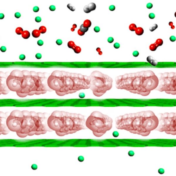 Schematic representation of the material structure with PEI molecules, constrained between graphene oxide nanosheets. Credit: ACS