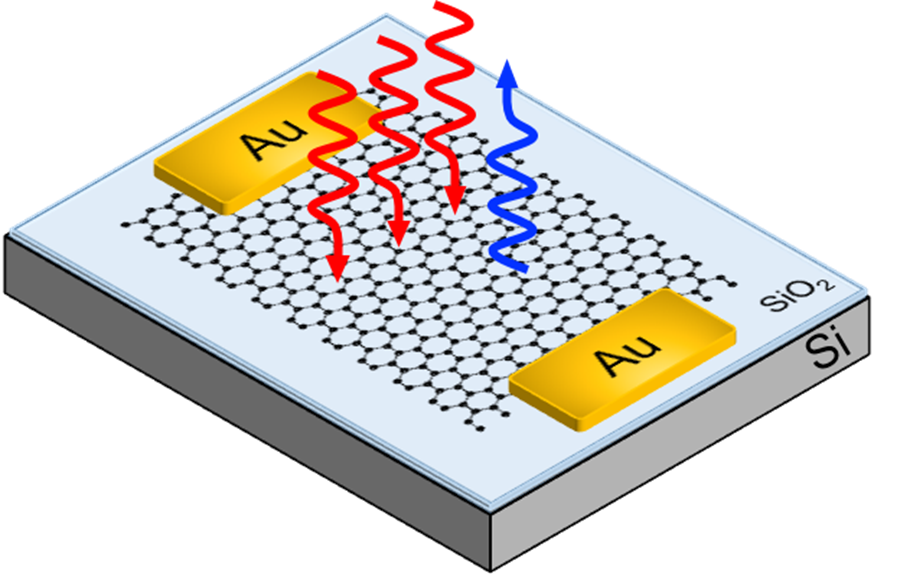 Electrical control of third harmonic generation (THG) can be obtained in single-layer graphene. In THG three low-frequency photons (red) sum up to generate one high-frequency (blue) photon. For this reason, THG can be used for optical frequency converters. Credit: Giancarlo Soavi, University of Cambridge
