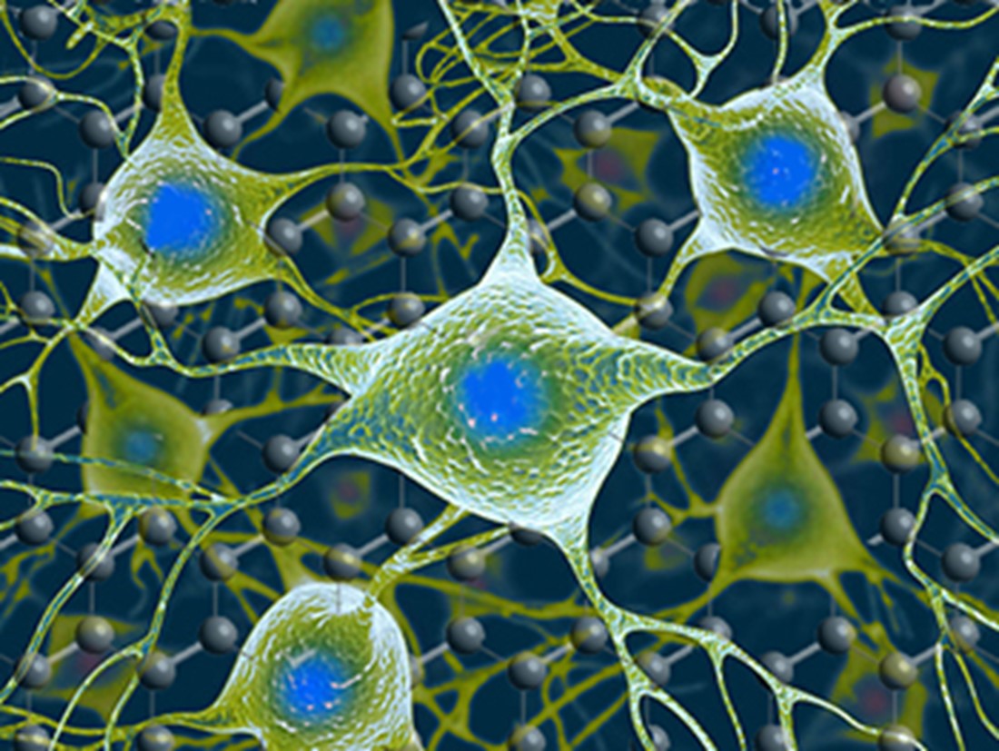 Neurons image.