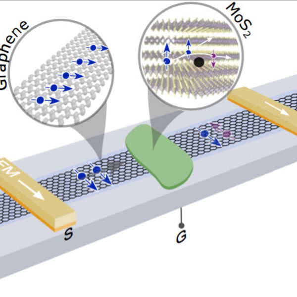 Schematic and coloured scanning electron microscope image of a fabricated graphene-molybdenum disulfide heterostructure spintronic device. Credit: Spin FET@Chalmers