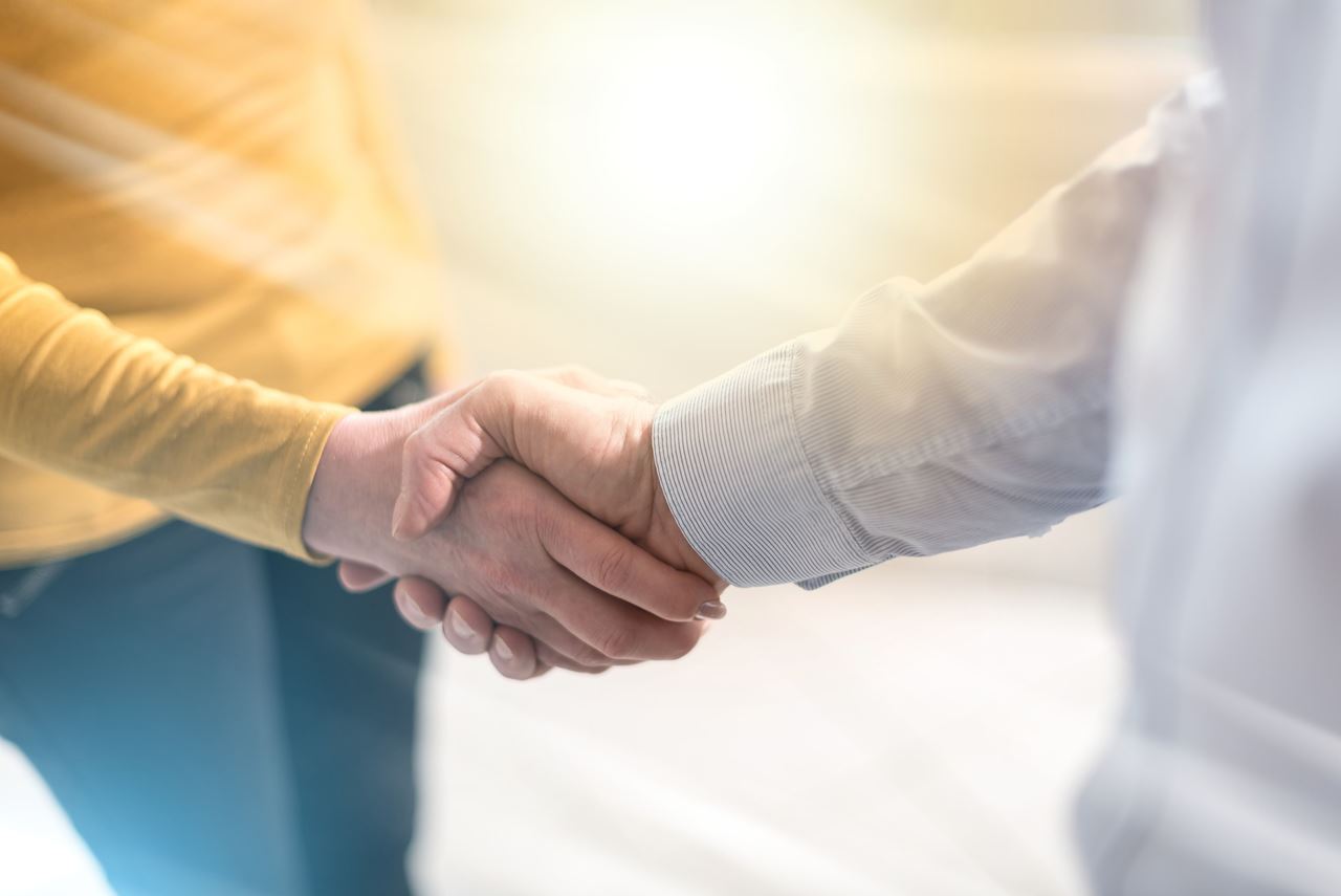 Partnering mechanism: two people shake hands
