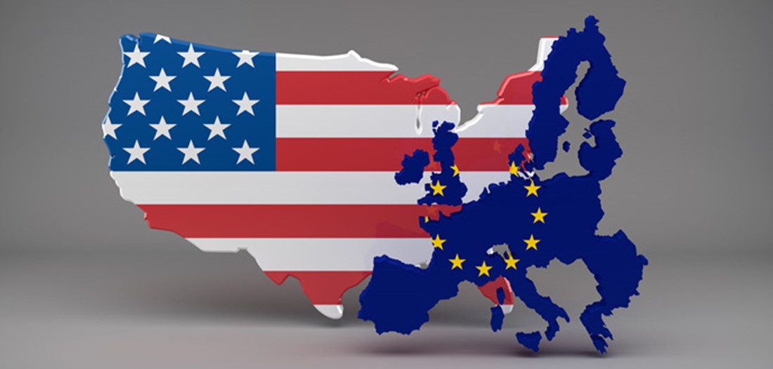 EU US Workshop Flag