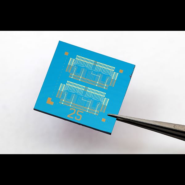 Chip based on floating-gate field-effect transistors (FGFETs) with an active molybdenum disulphide channel (Credit: Andras Kis)