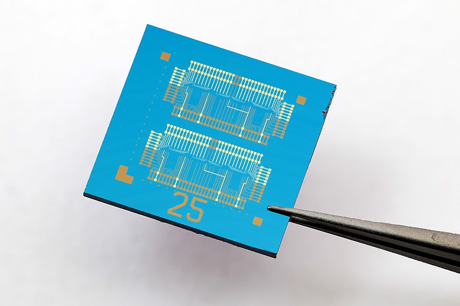 Chip based on floating-gate field-effect transistors (FGFETs) with an active molybdenum disulphide channel 