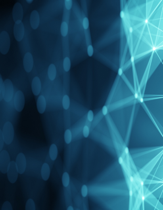 network shape