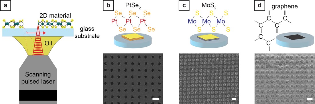 Nanopatterning of 2D materials using a two-photon 3D printer.
