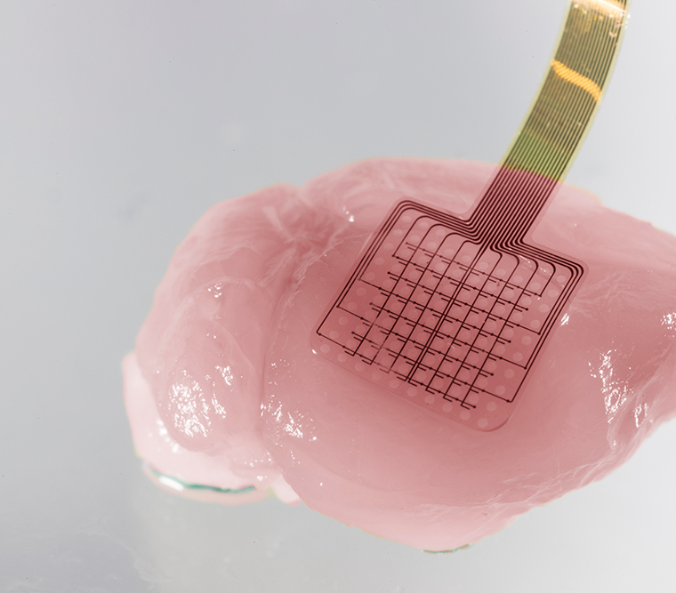 neural probe with graphene 