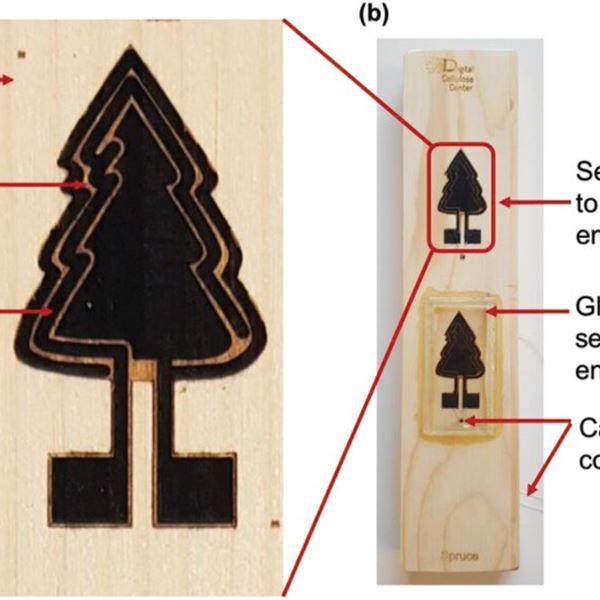 Humidity sensor manufactured by Graphene Flagship Associated Member RISE in Sweden on commercially available spruce wood