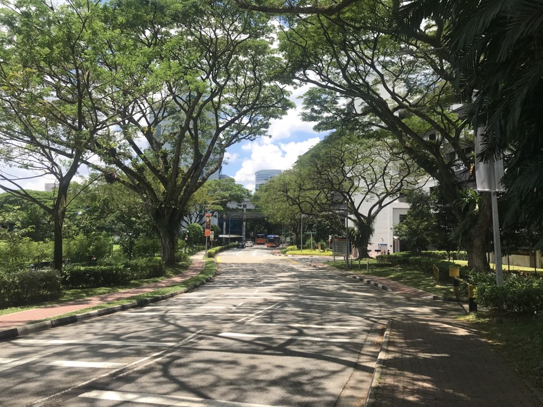 Outdoors at the National University of Singapore