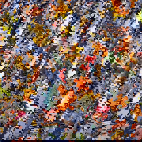 FLAG-ERA funds ten new projects on graphene research and applications