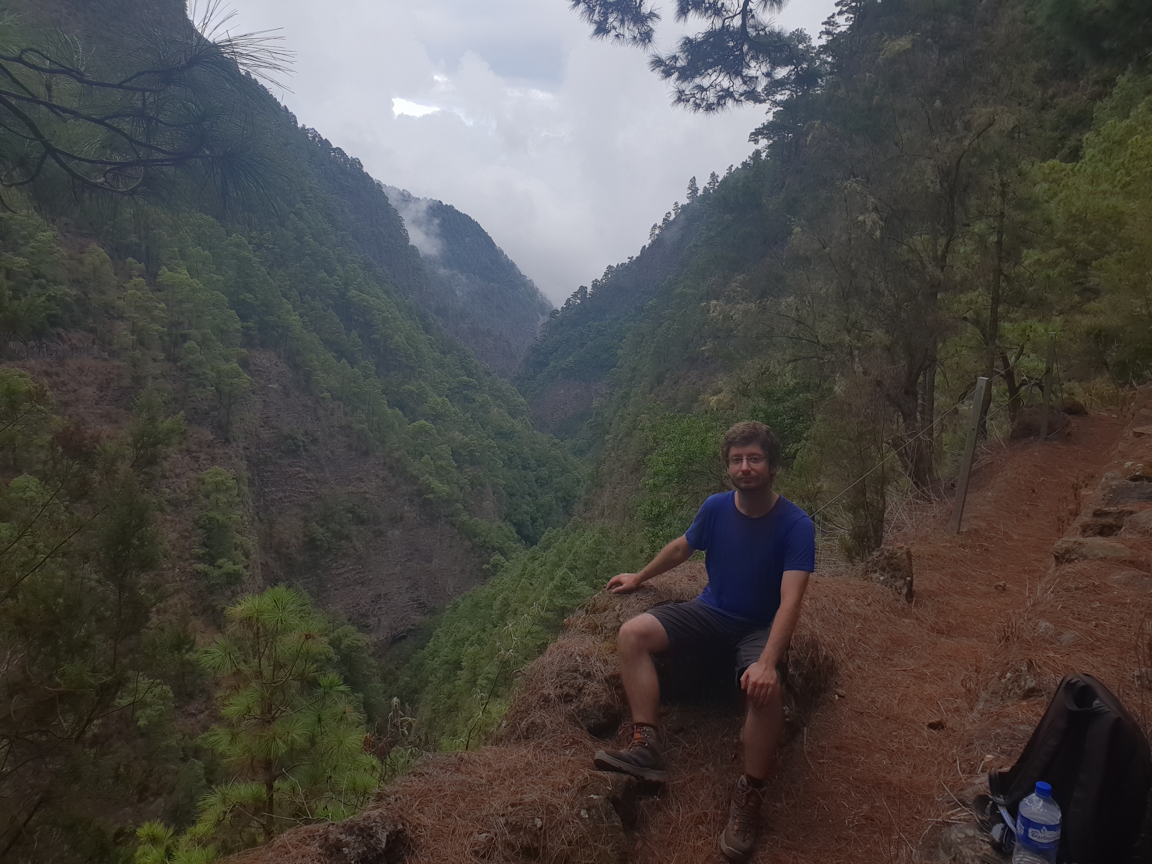 Kovács-Krausz Zoltán